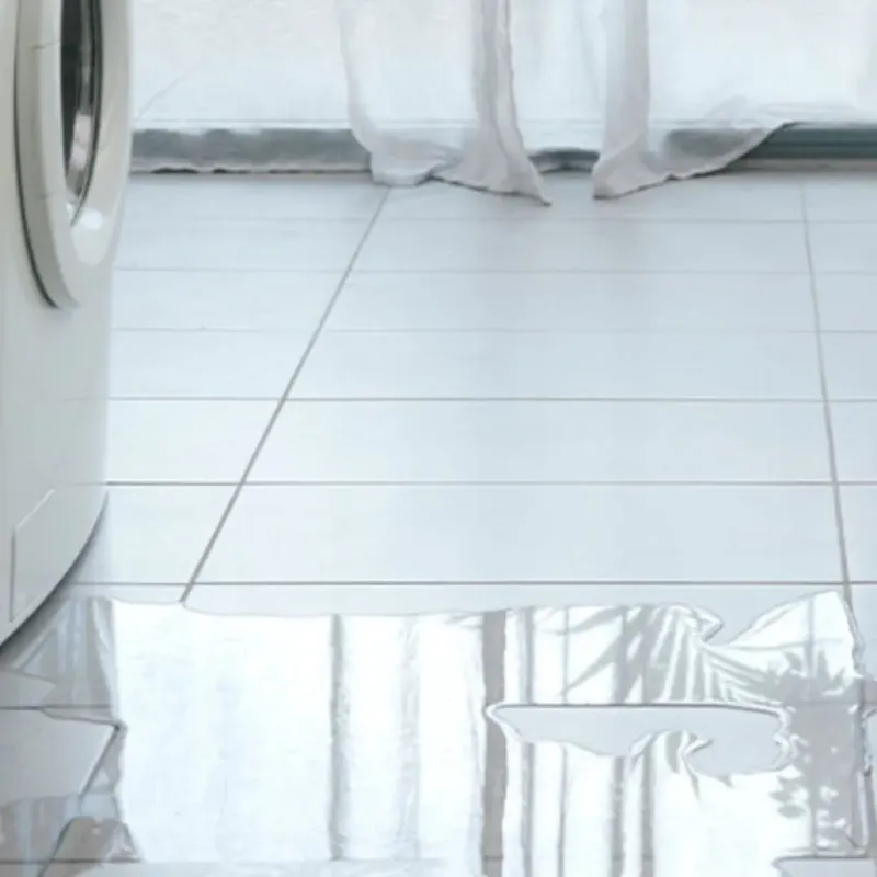 Appliance Leak Cleanup in Darien, WI