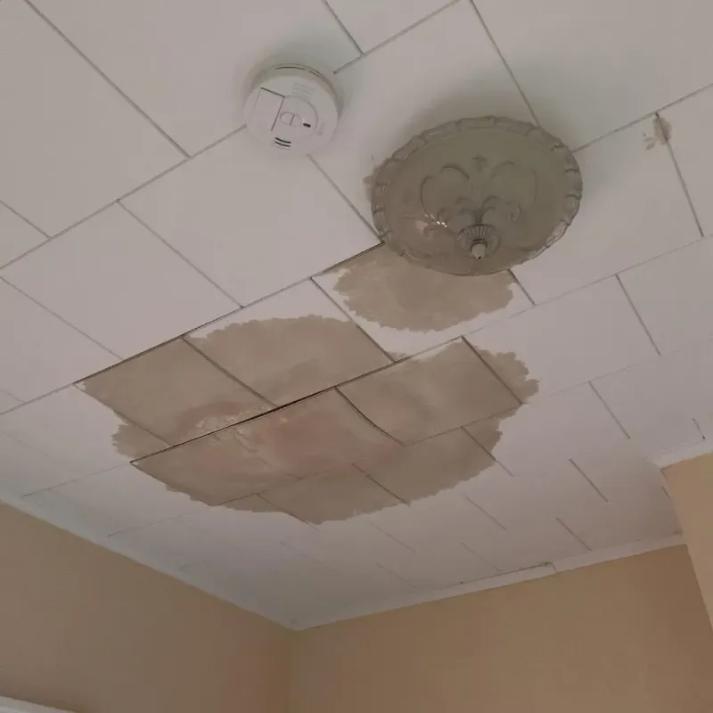 Ceiling Water Damage Repair in Darien, WI