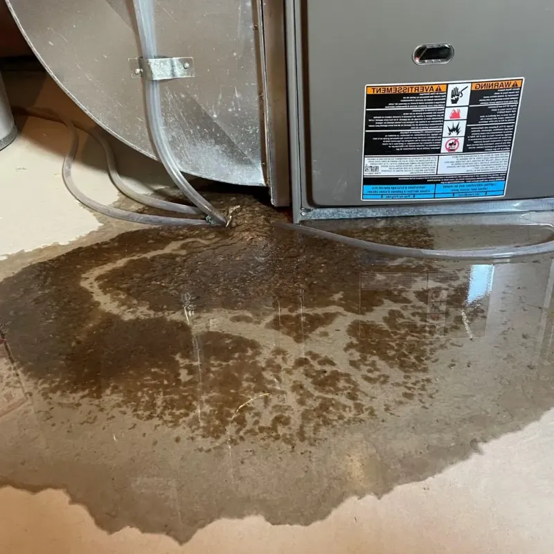 Pipe Burst and Leak Restoration in Darien, WI