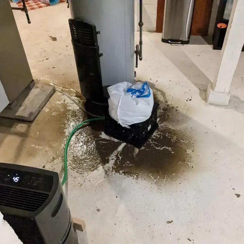 Sewage Backup Cleanup Service in Darien, WI